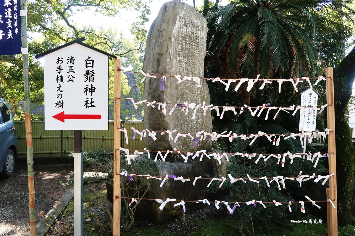 IMG_9630_調整大小 IMG_9630_調整大小