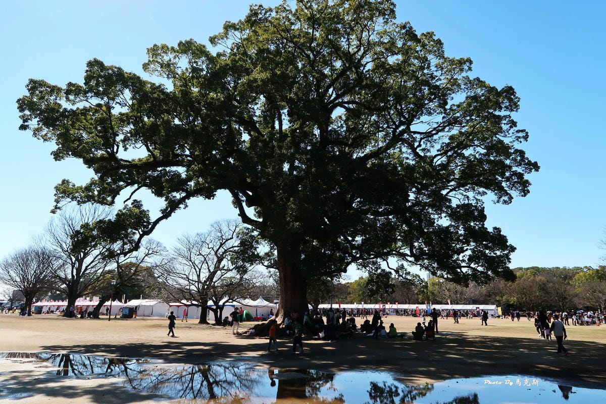 IMG_9595_調整大小 IMG_9595_調整大小