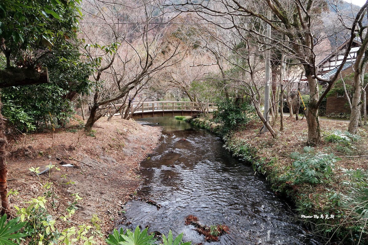 IMG_9210_調整大小 IMG_9210_調整大小