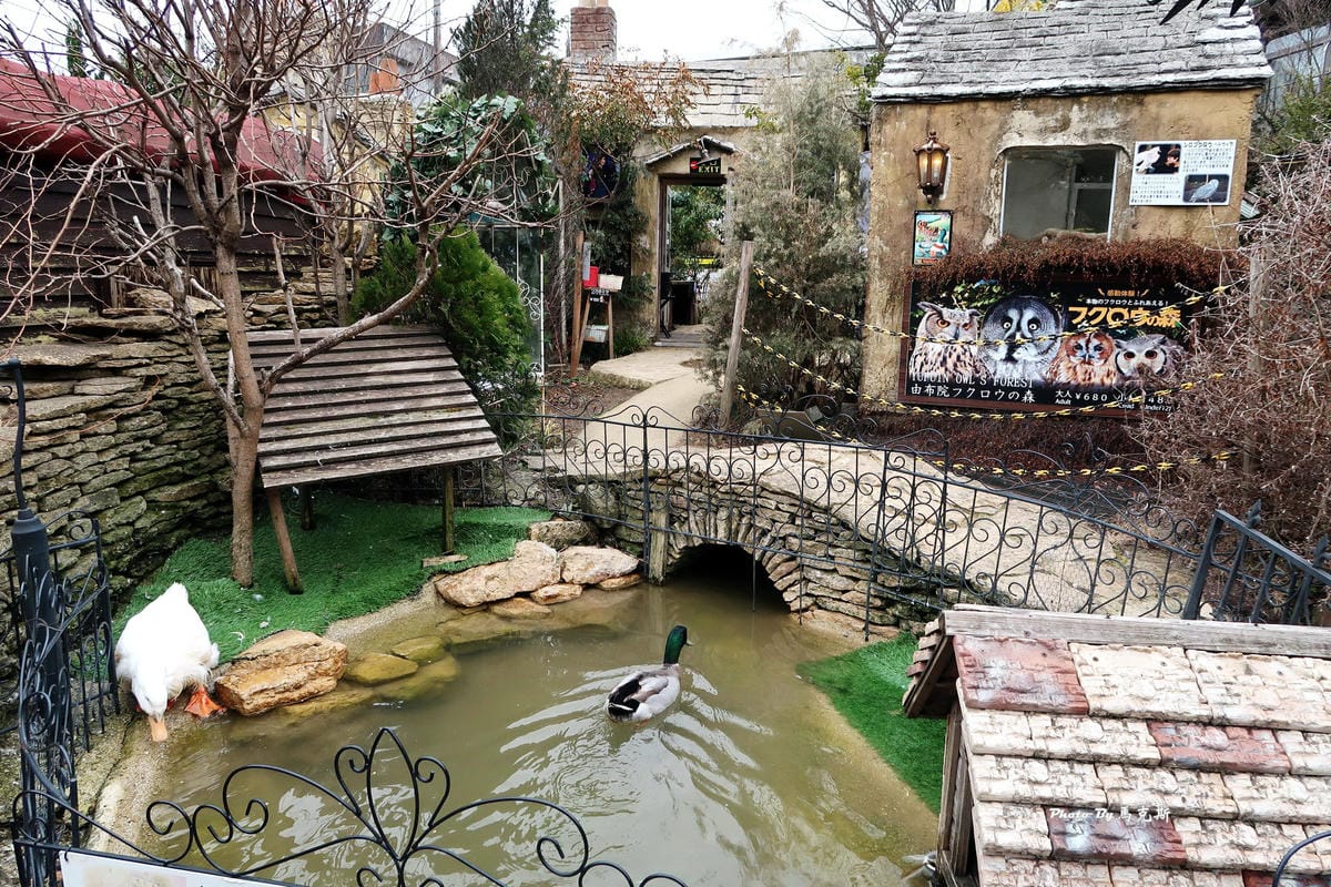 IMG_9323_調整大小 IMG_9323_調整大小