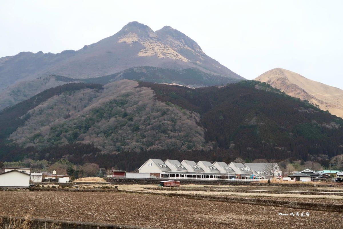 IMG_9337_調整大小 IMG_9337_調整大小