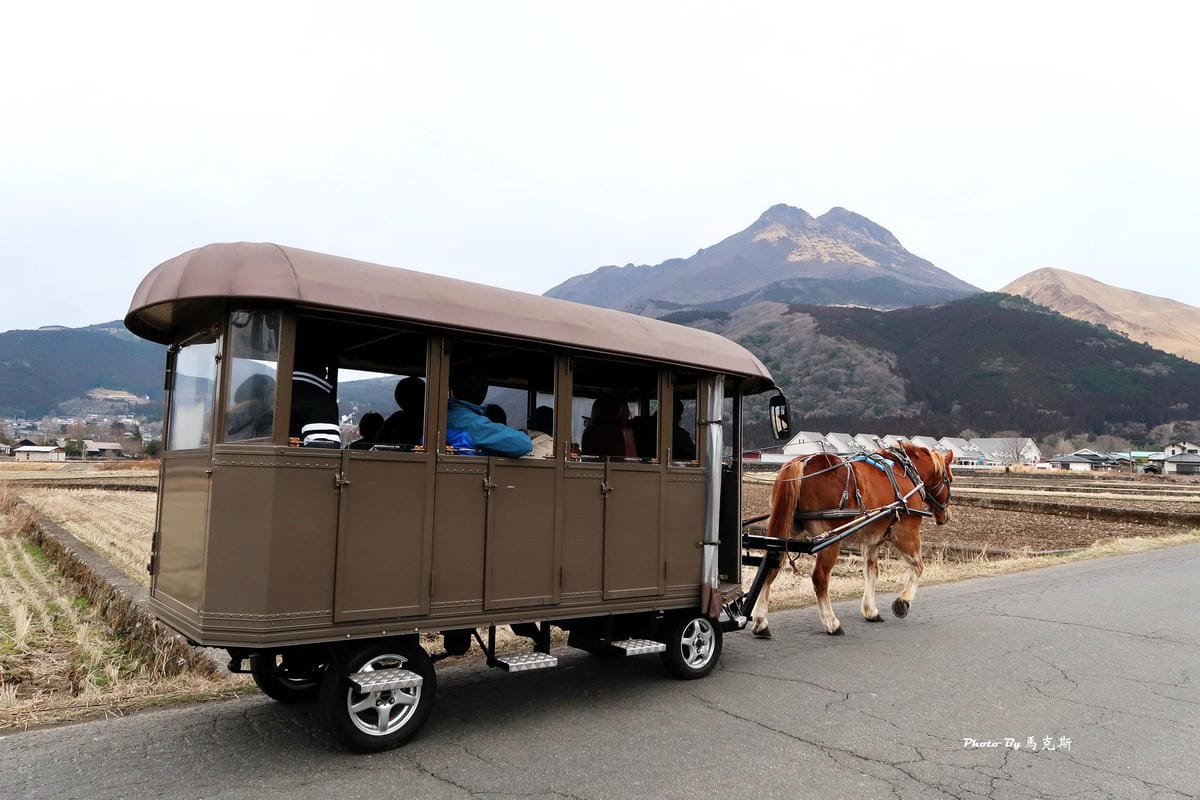 IMG_9340_調整大小 IMG_9340_調整大小