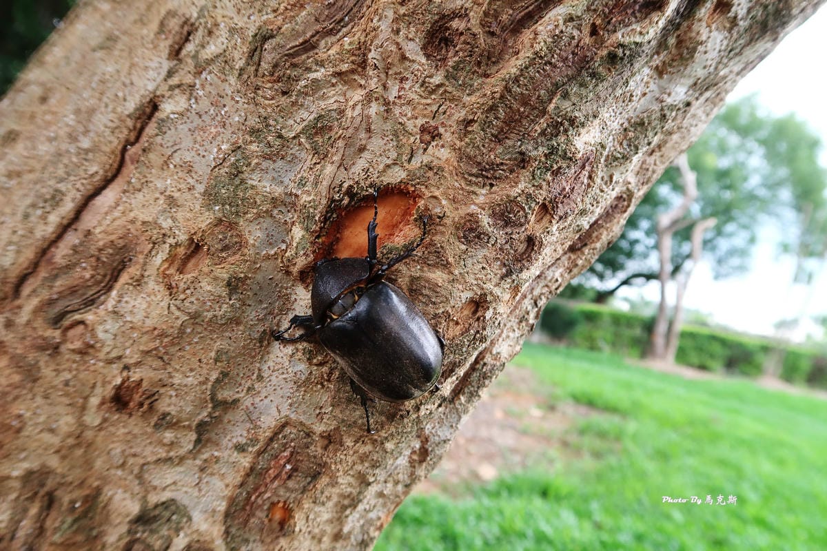 IMG_8425_調整大小 IMG_8425_調整大小