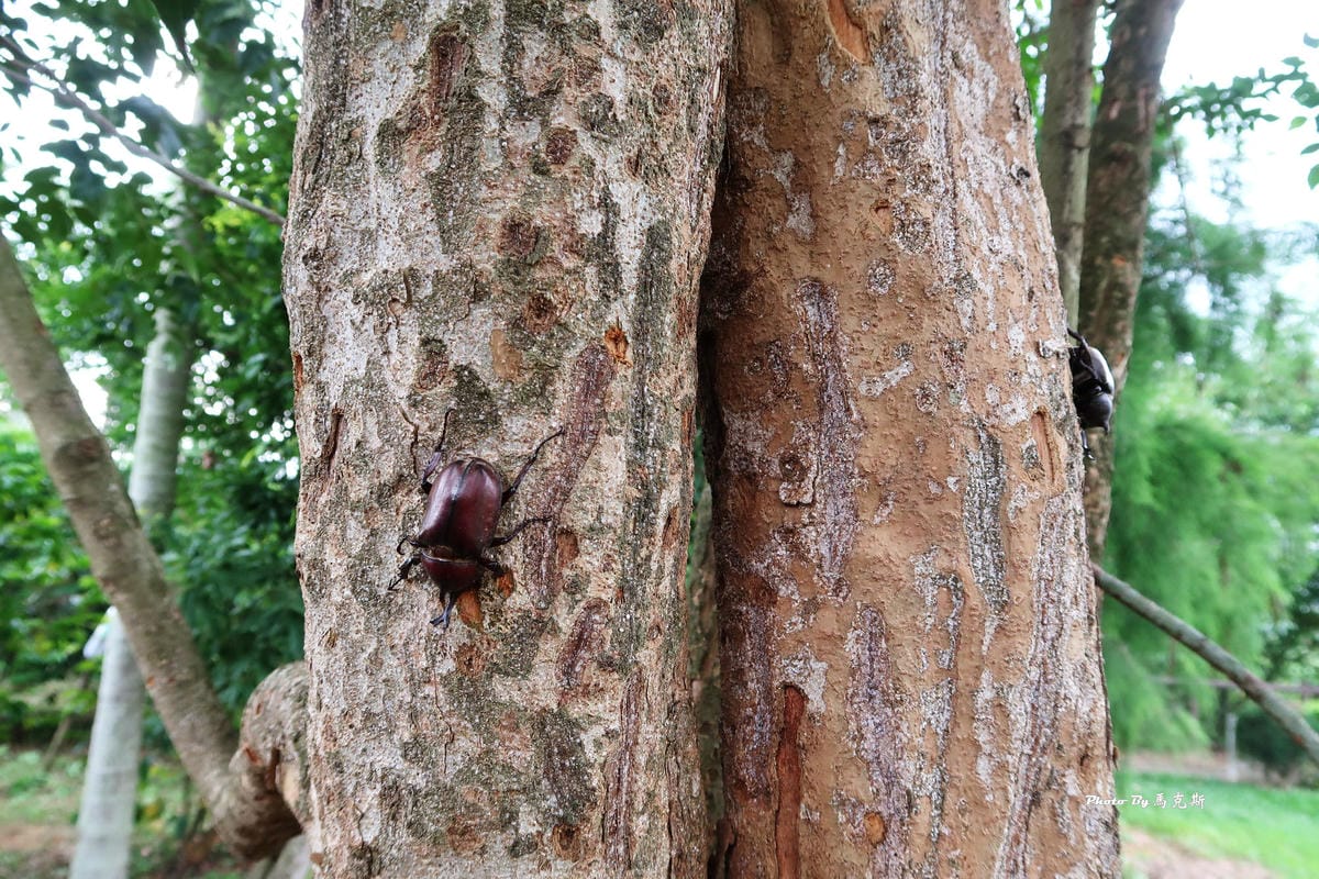 IMG_8423_調整大小 IMG_8423_調整大小