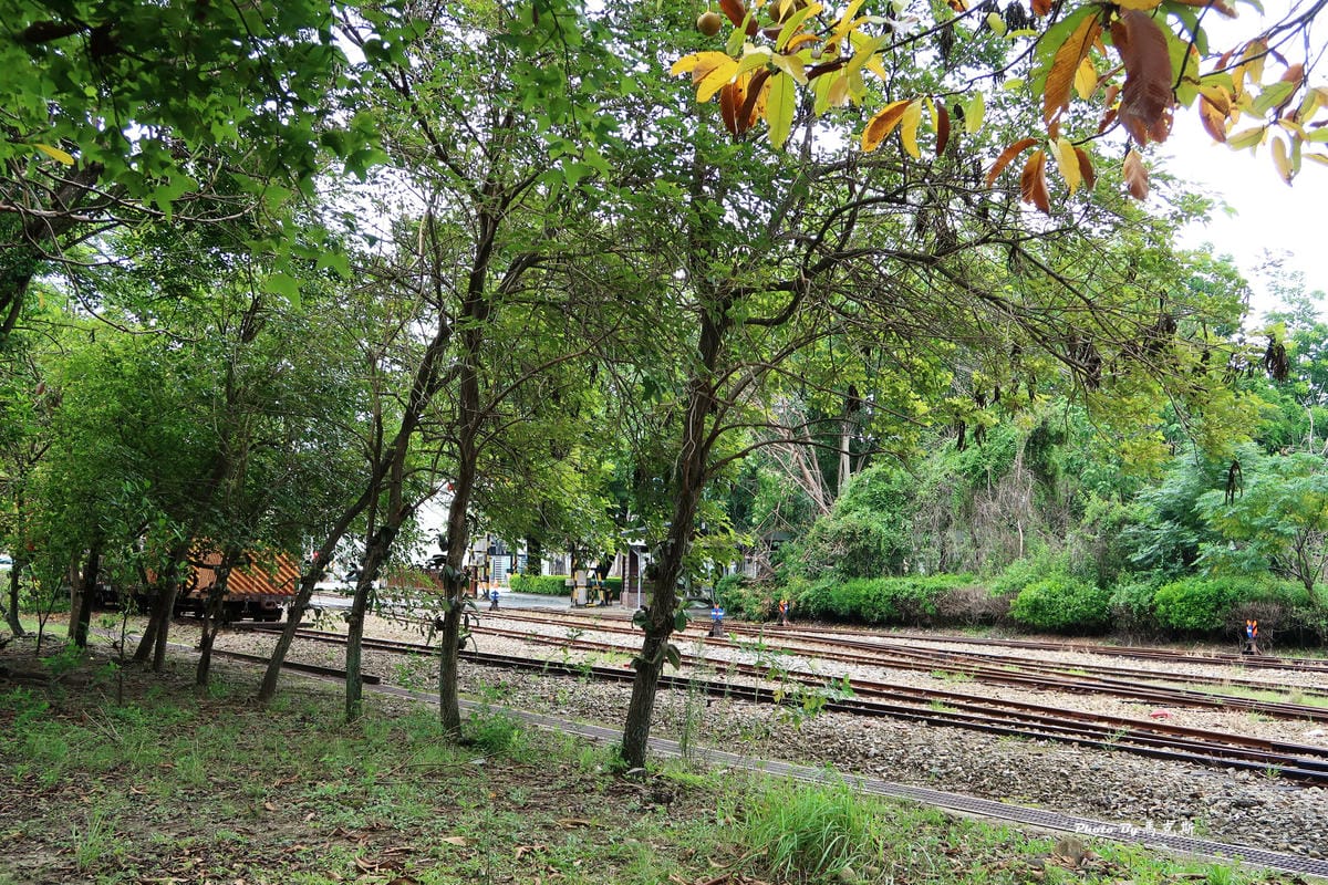 IMG_8597_調整大小 IMG_8597_調整大小