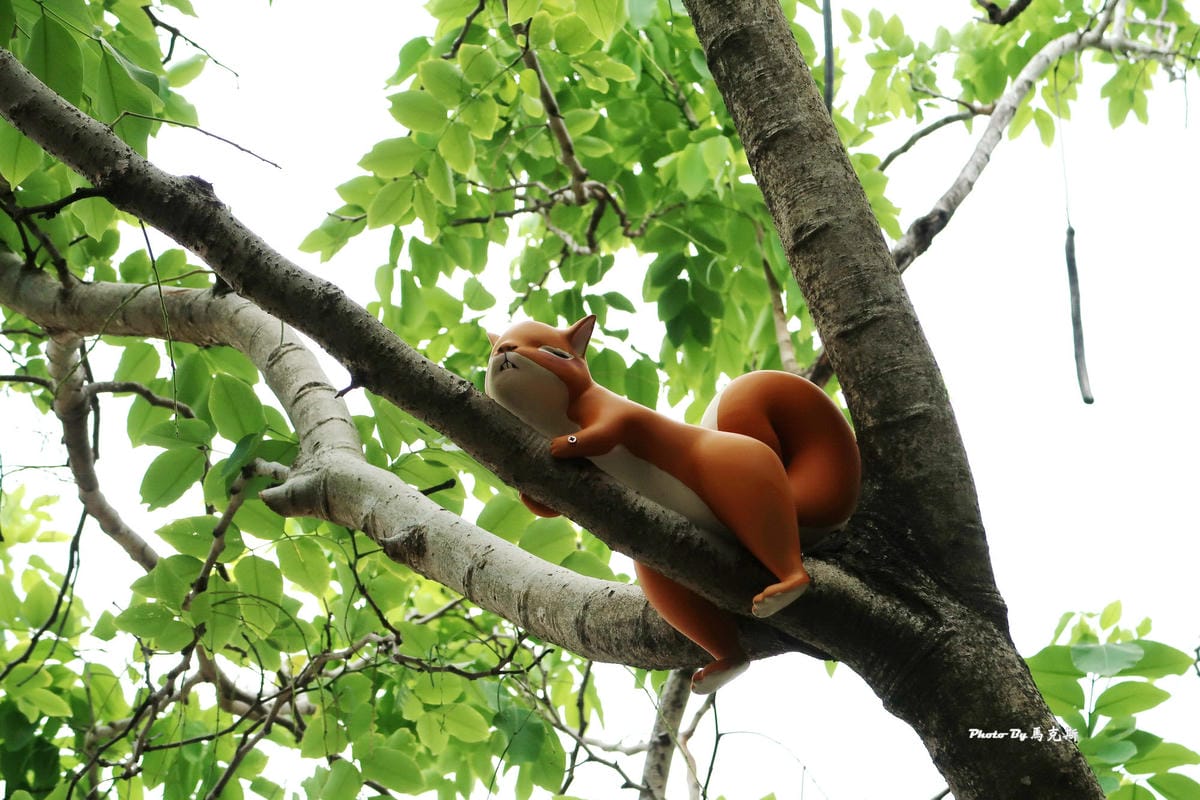 IMG_8560_調整大小 (2) IMG_8560_調整大小 (2)