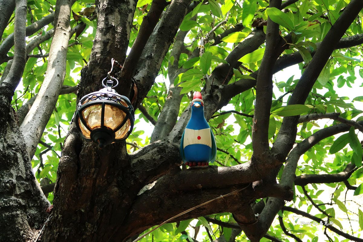 IMG_8557_調整大小 IMG_8557_調整大小