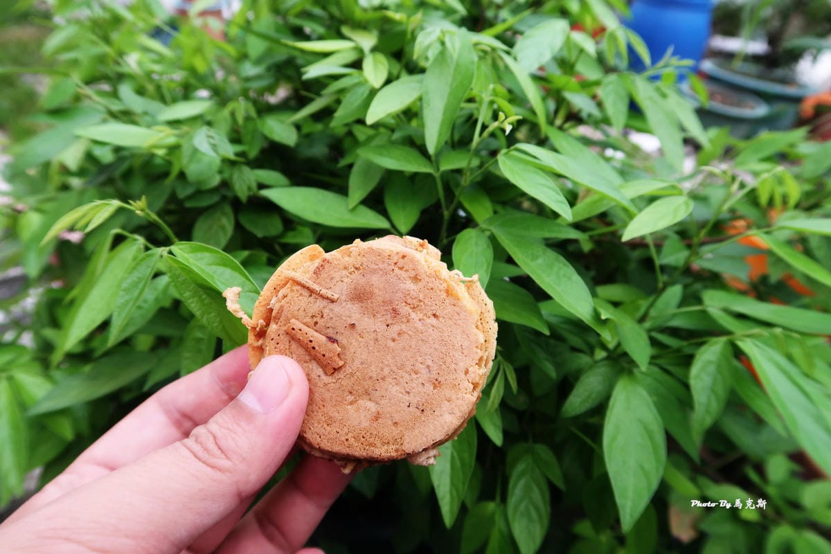 IMG_8955_調整大小 IMG_8955_調整大小