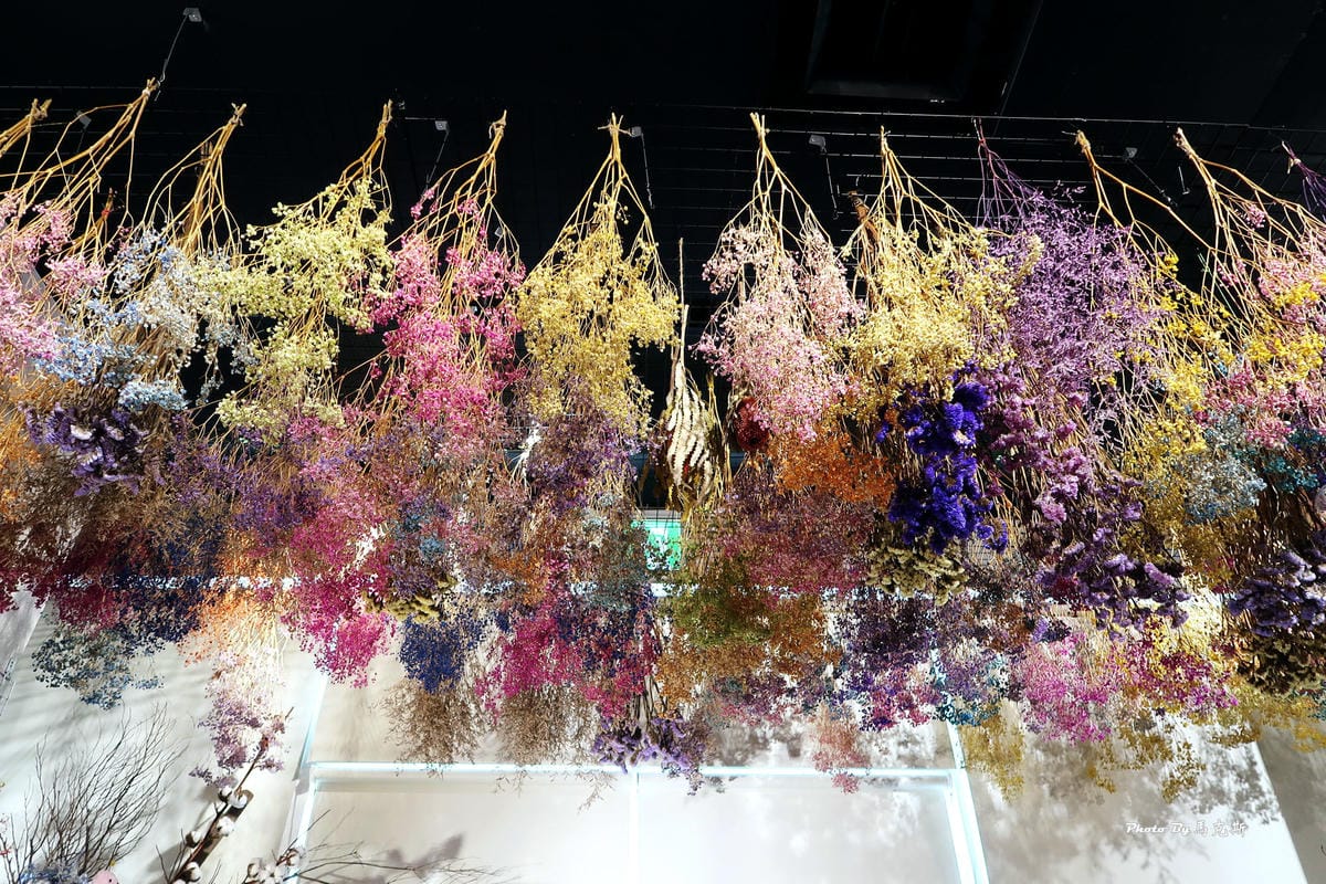 IMG_1520_調整大小 IMG_1520_調整大小