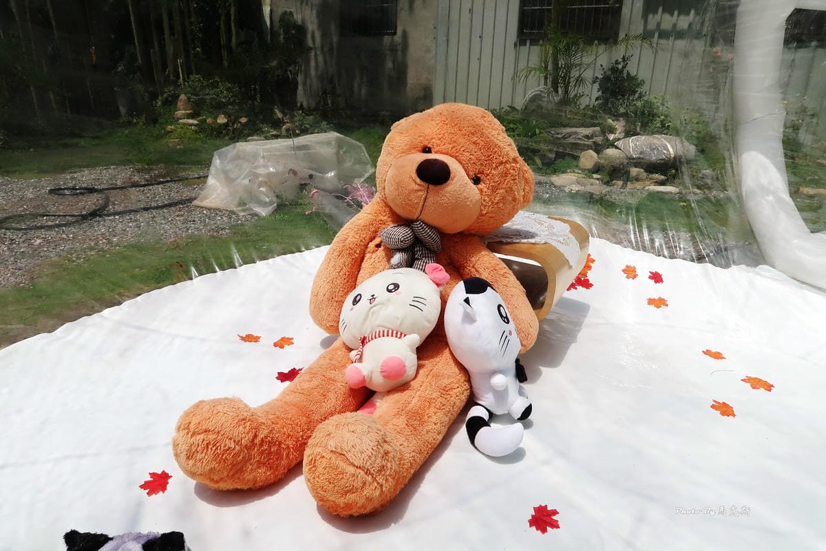 IMG_5137_調整大小 IMG_5137_調整大小