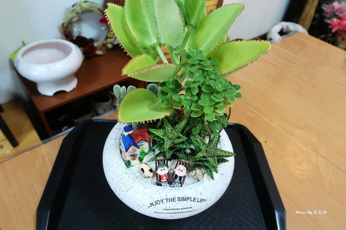 IMG_5203_調整大小 IMG_5203_調整大小