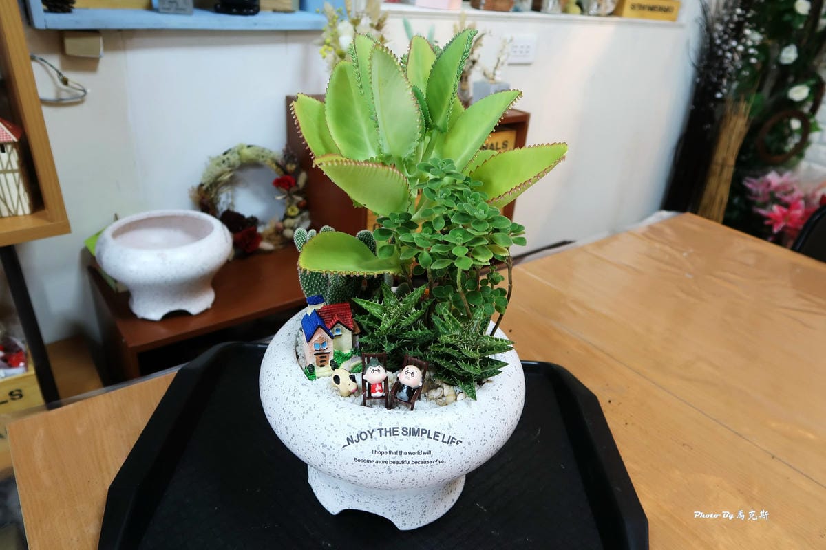 IMG_5201_調整大小 IMG_5201_調整大小