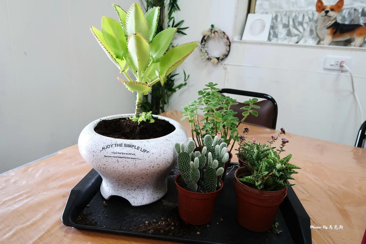 IMG_5171_調整大小 IMG_5171_調整大小