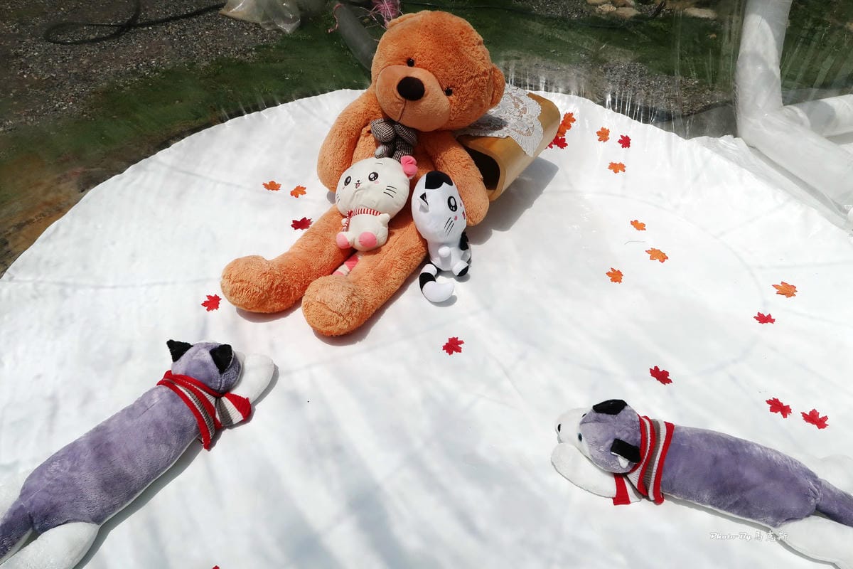 IMG_5135_調整大小 IMG_5135_調整大小