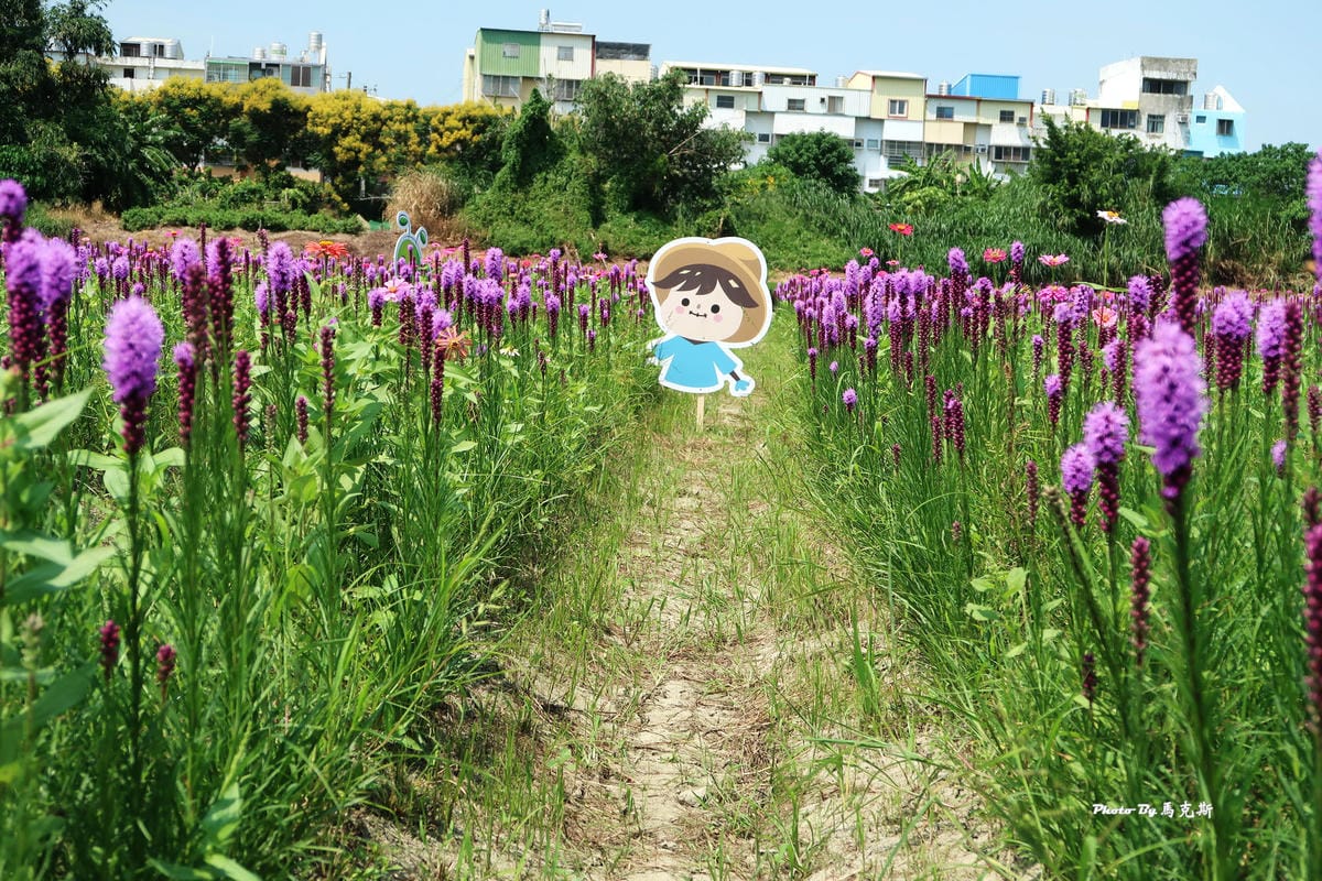 IMG_6067_調整大小 IMG_6067_調整大小