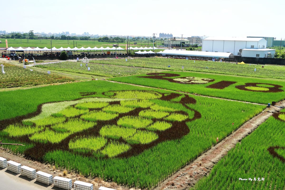 IMG_6115_調整大小 IMG_6115_調整大小