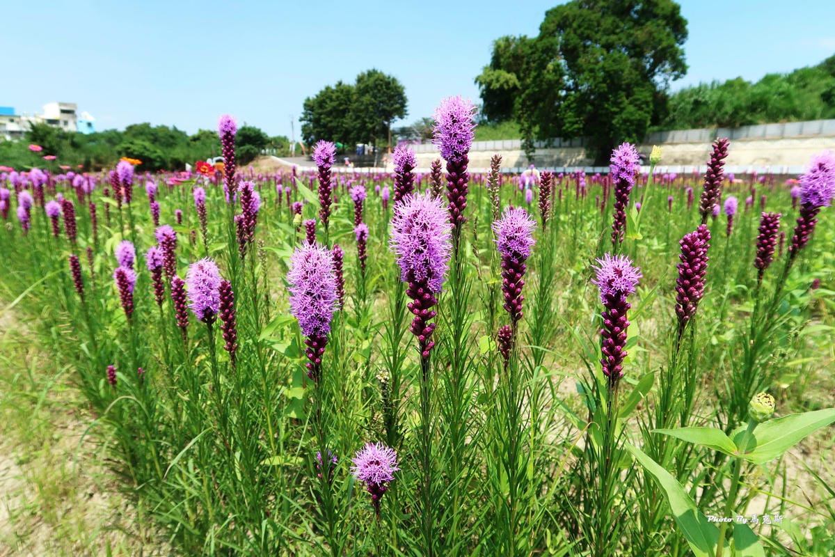 IMG_6070_調整大小 (2) IMG_6070_調整大小 (2)