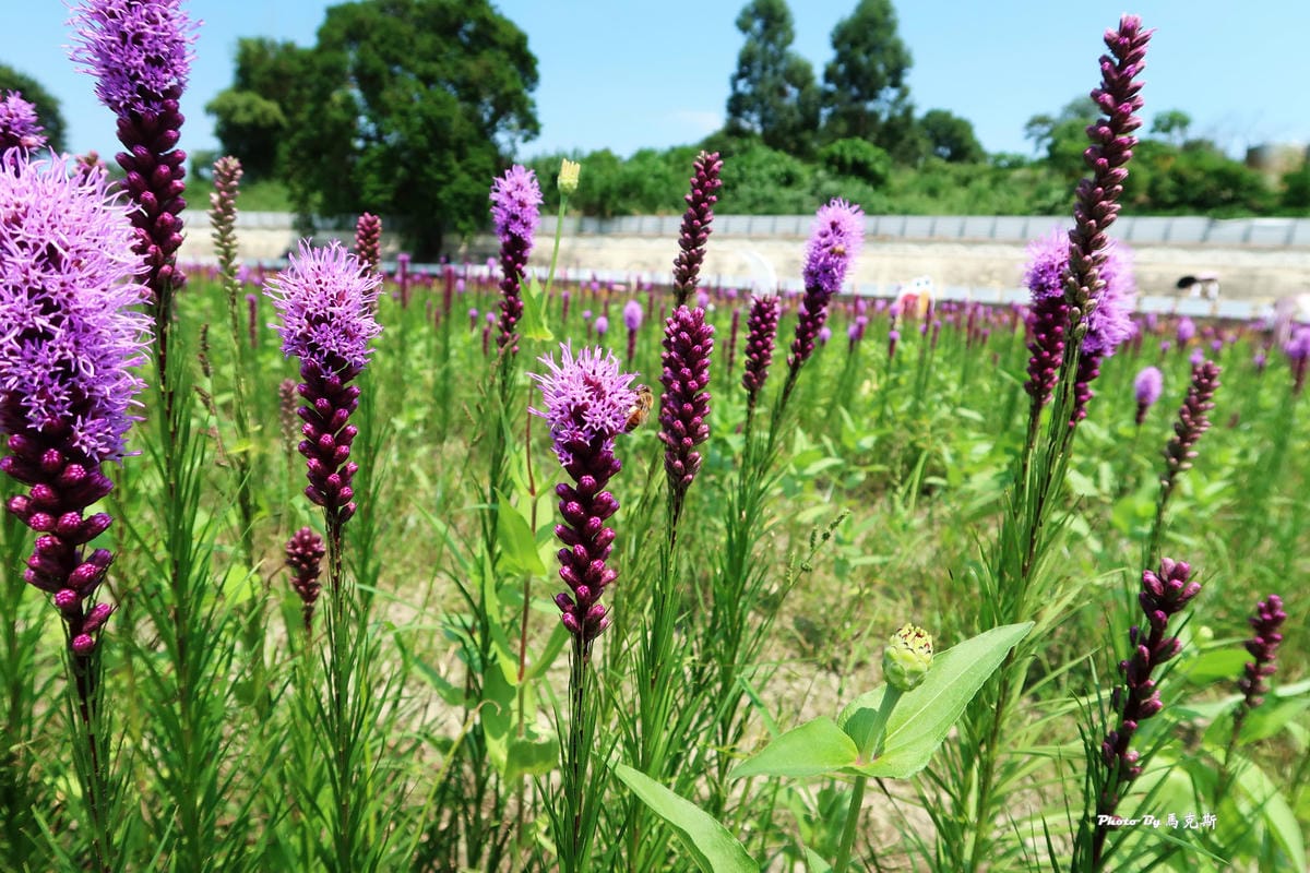 IMG_6073_調整大小 IMG_6073_調整大小