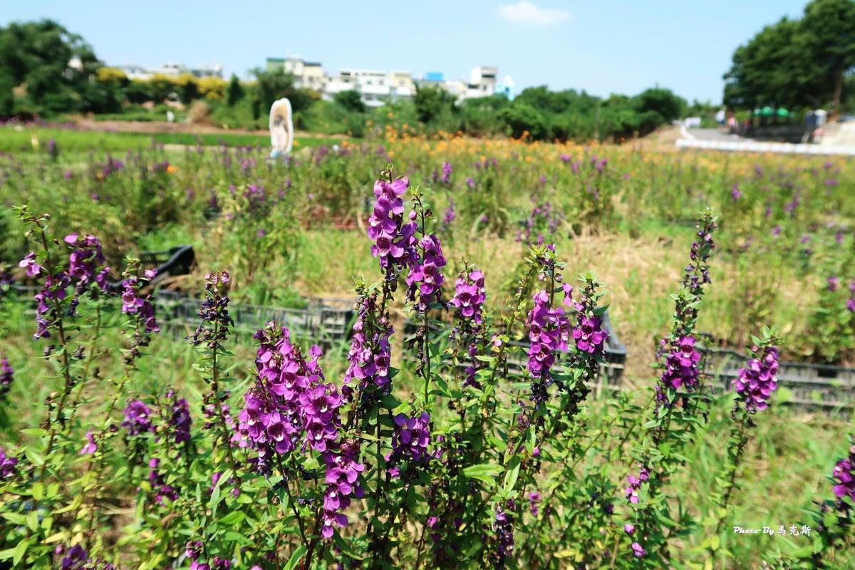 IMG_6045_調整大小 (3) IMG_6045_調整大小 (3)