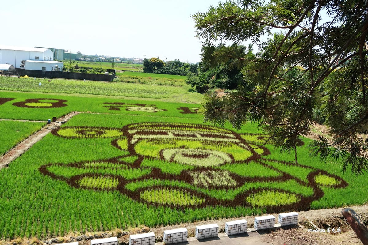 IMG_6113_調整大小 IMG_6113_調整大小