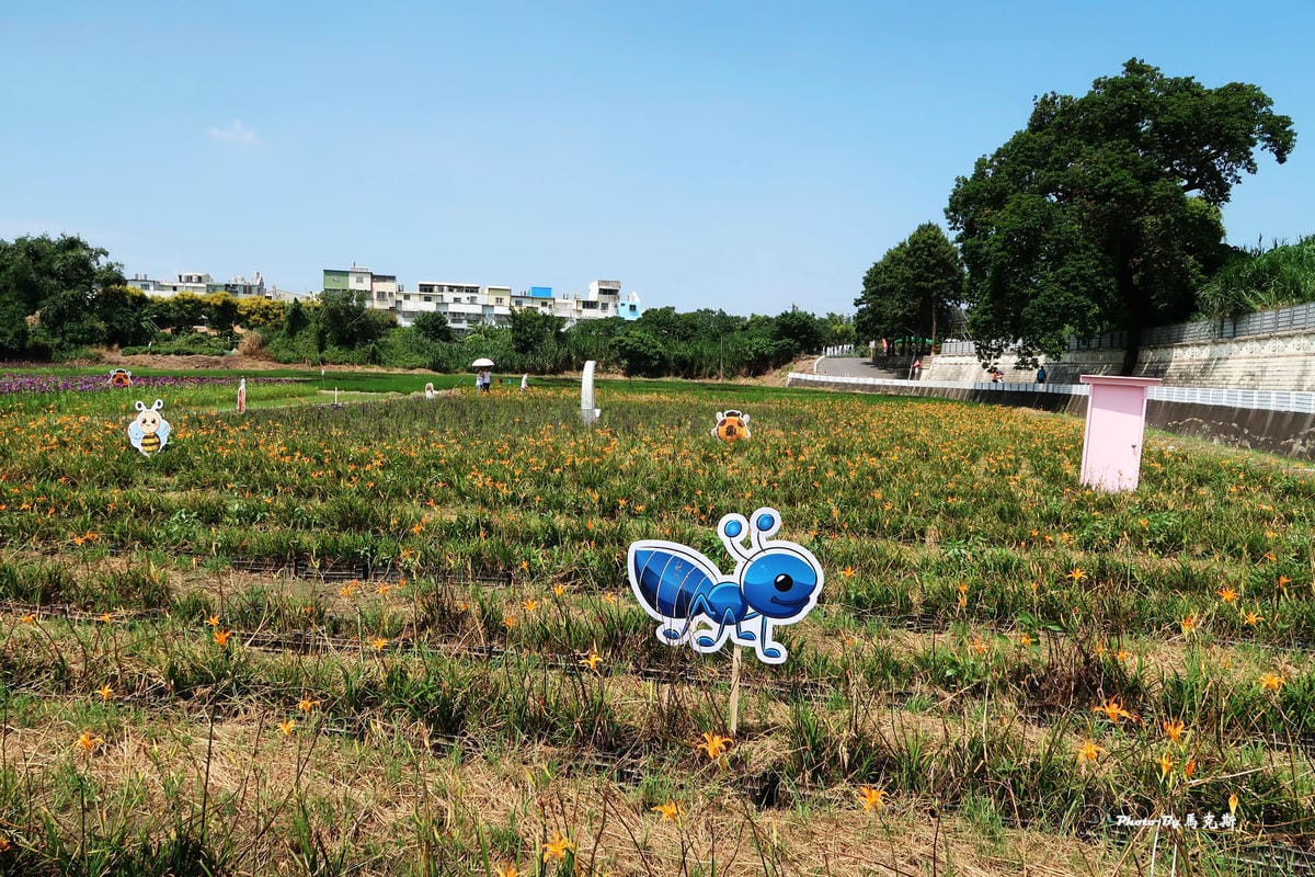 IMG_6037_調整大小 IMG_6037_調整大小