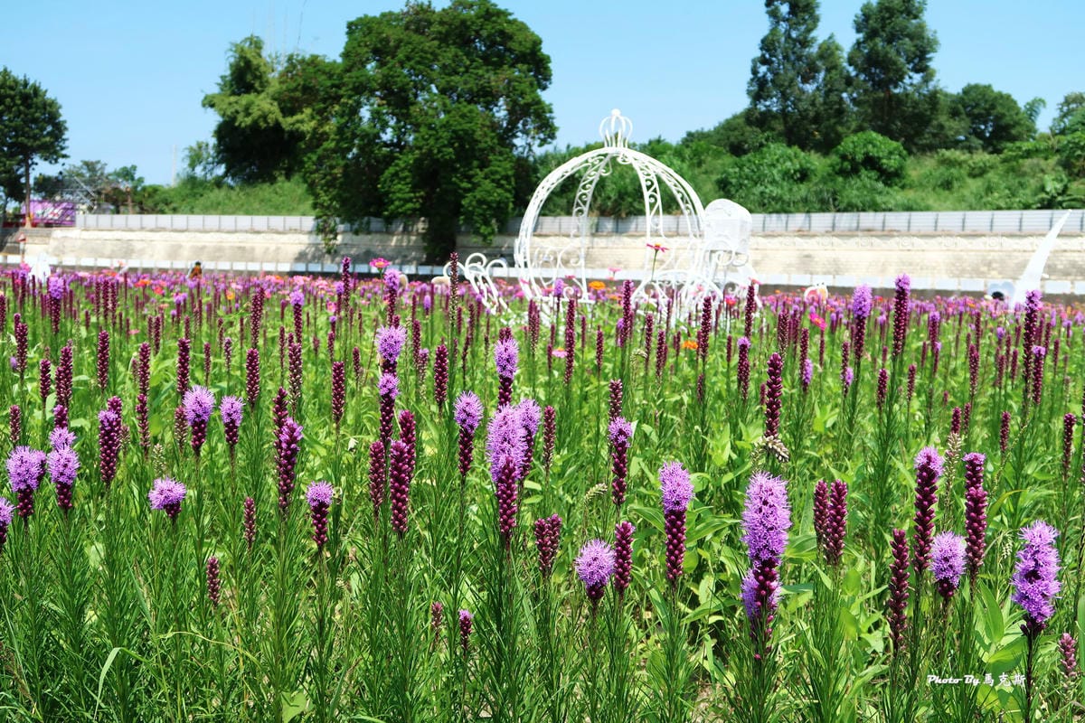 IMG_6080_調整大小 IMG_6080_調整大小