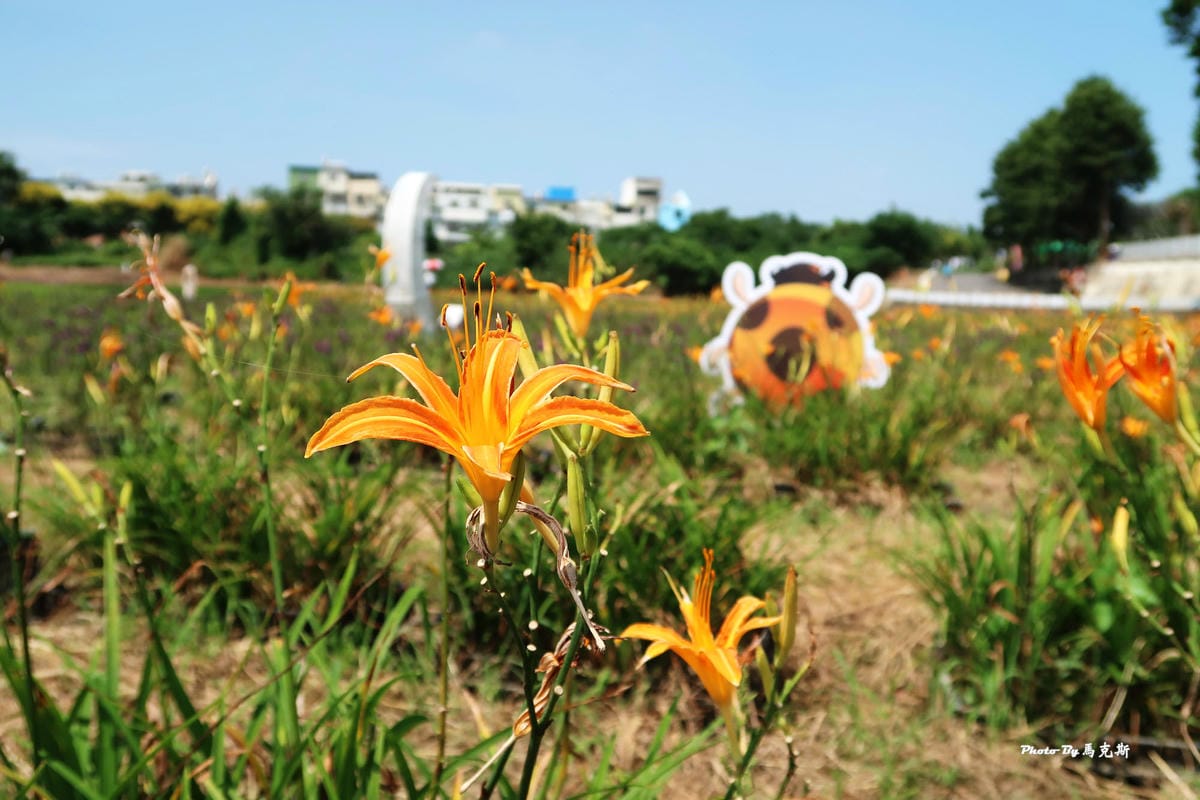 IMG_6035_調整大小 (2) IMG_6035_調整大小 (2)