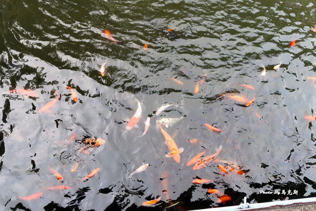 IMG_2791_調整大小 IMG_2791_調整大小