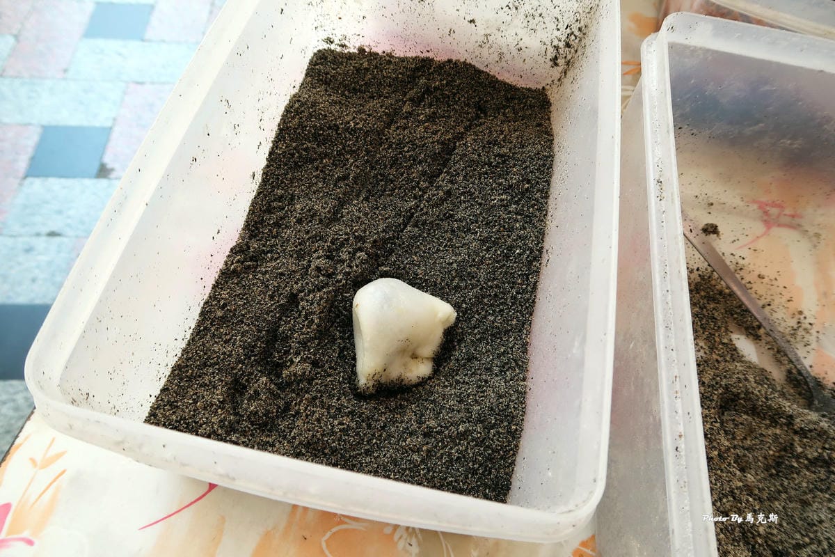 IMG_7648_調整大小 IMG_7648_調整大小