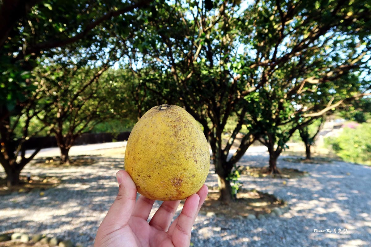 IMG_9465_調整大小 IMG_9465_調整大小