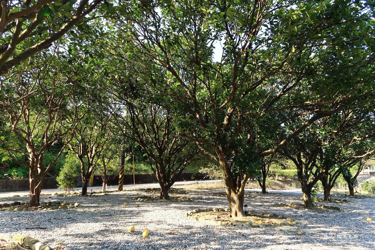 IMG_9460_調整大小 (2) IMG_9460_調整大小 (2)