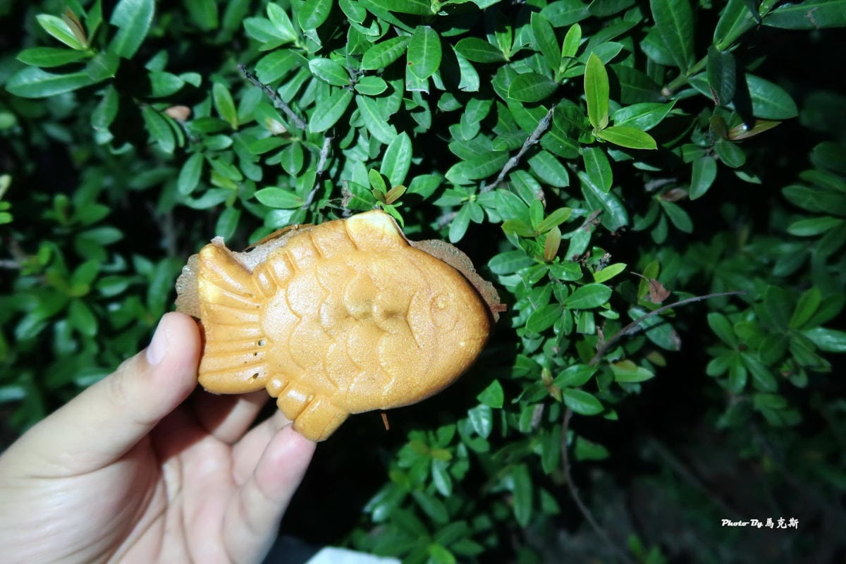 IMG_4073_調整大小 (2) IMG_4073_調整大小 (2)