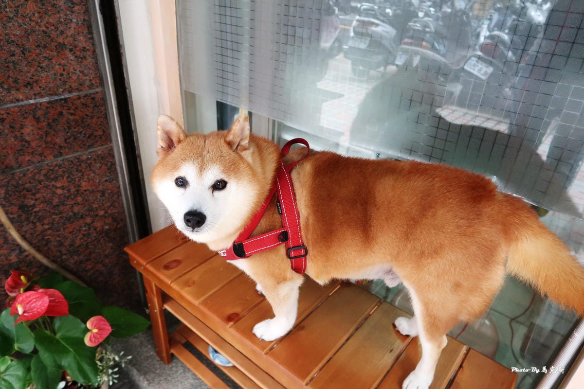 IMG_5013_調整大小 (2) IMG_5013_調整大小 (2)