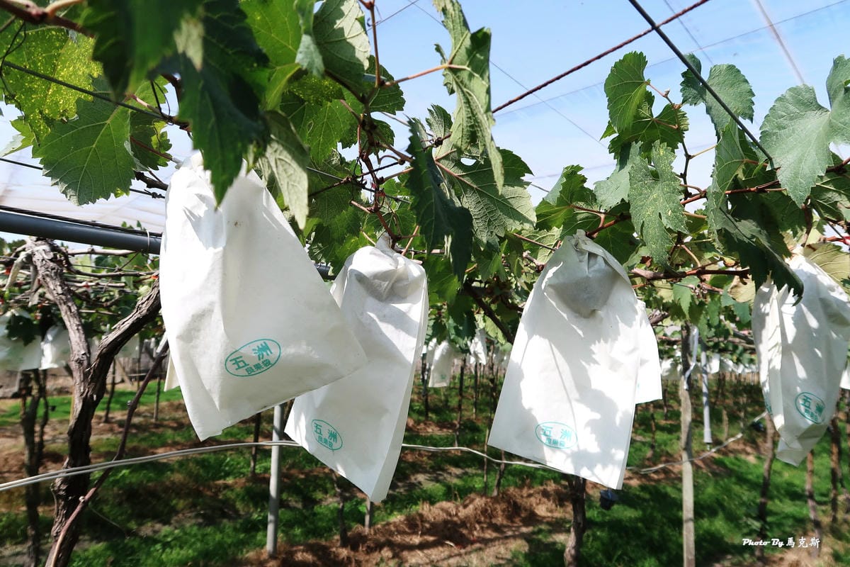 IMG_6230_調整大小 IMG_6230_調整大小