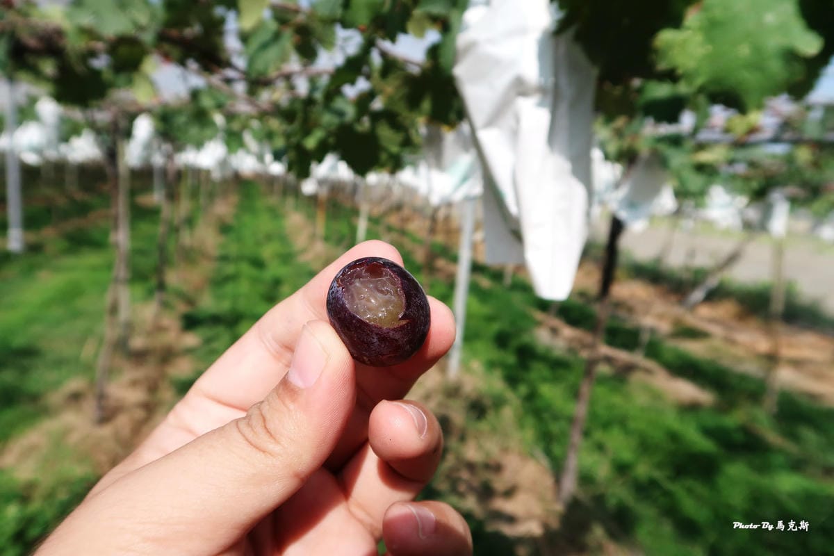 IMG_6251_調整大小 (2) IMG_6251_調整大小 (2)