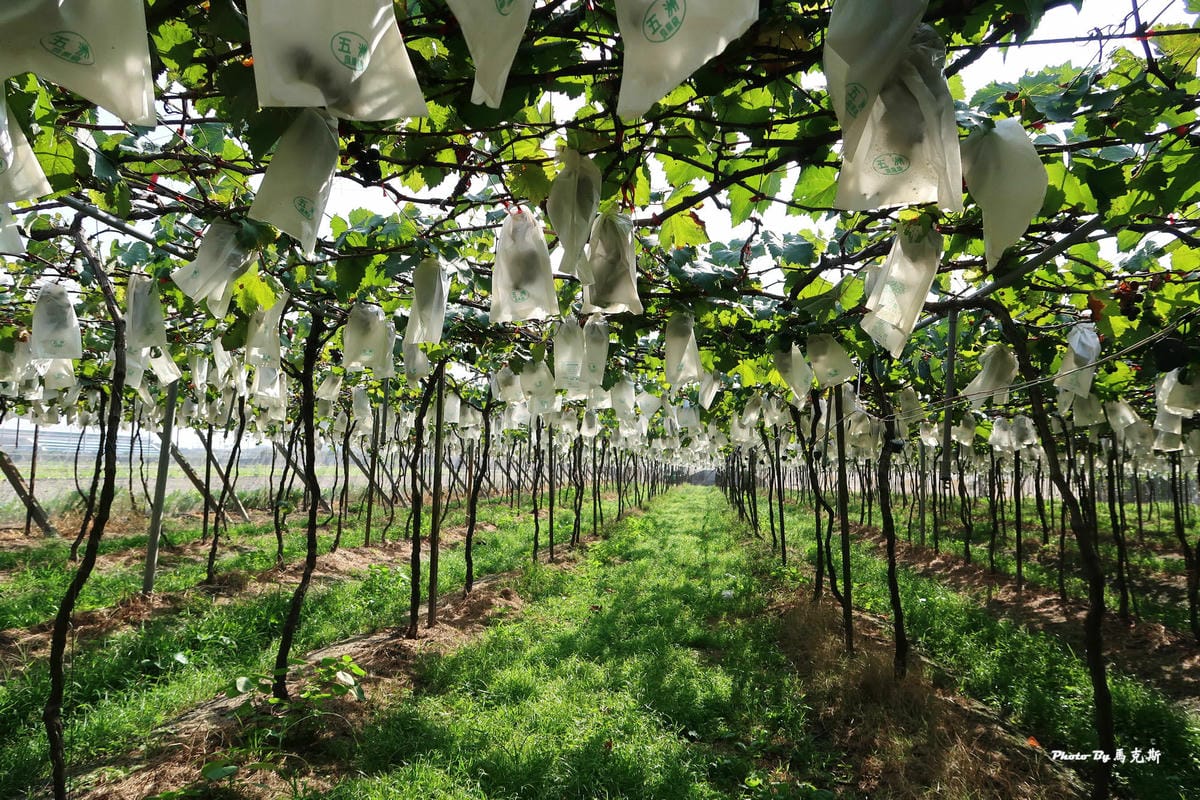 IMG_6225_調整大小 IMG_6225_調整大小