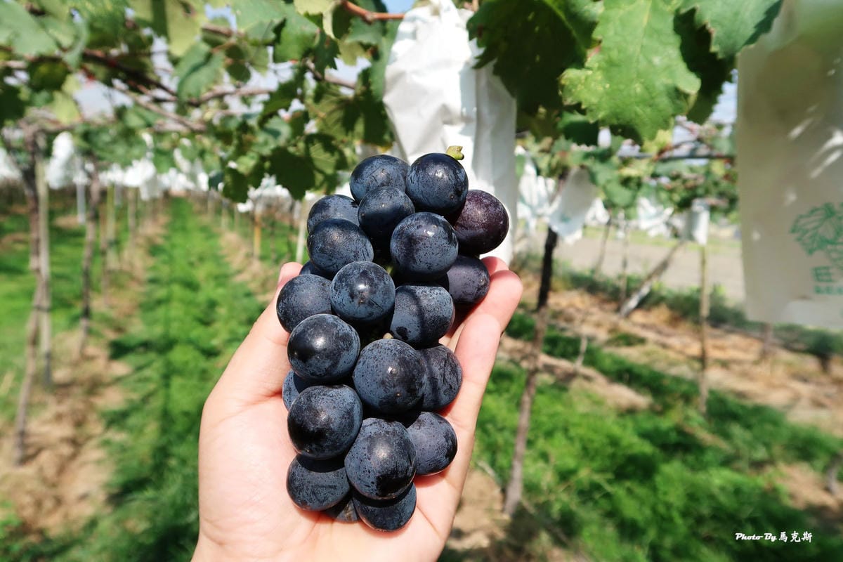 IMG_6247_調整大小 IMG_6247_調整大小