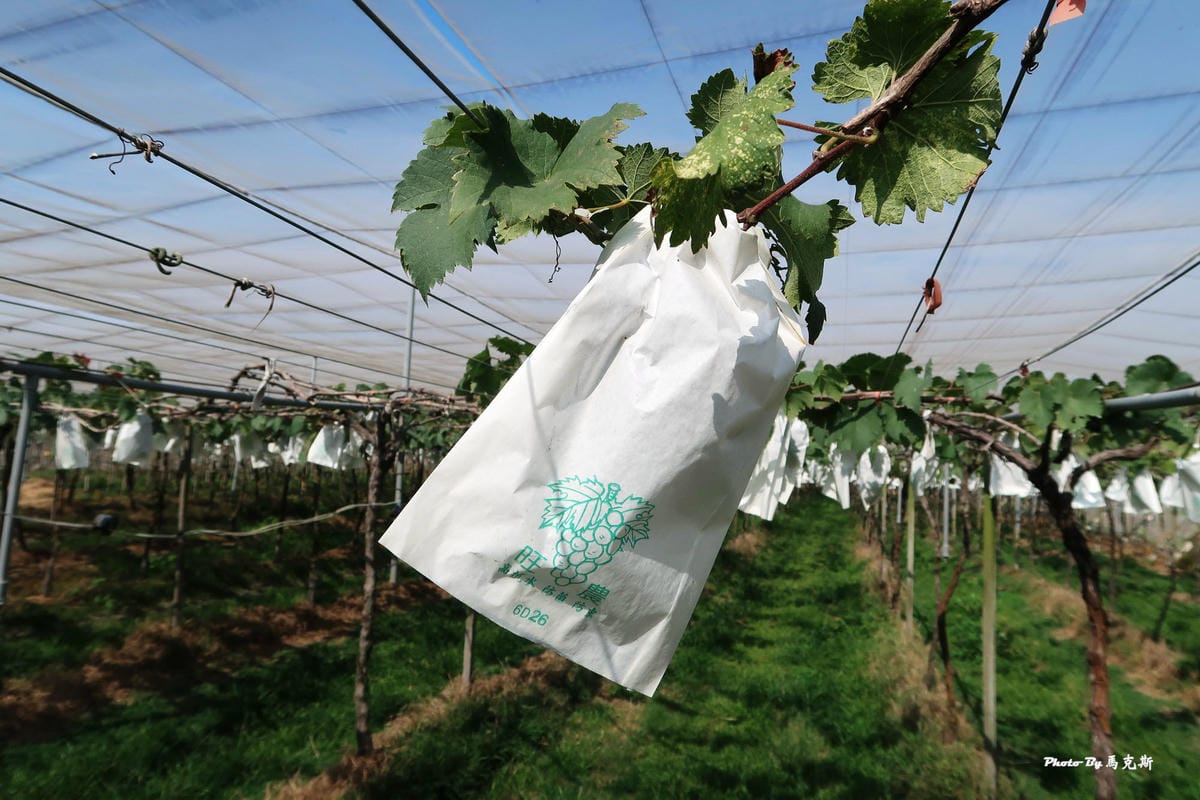 IMG_6235_調整大小 IMG_6235_調整大小