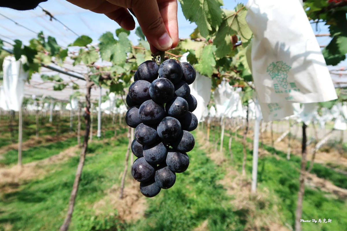 IMG_6245_調整大小 IMG_6245_調整大小