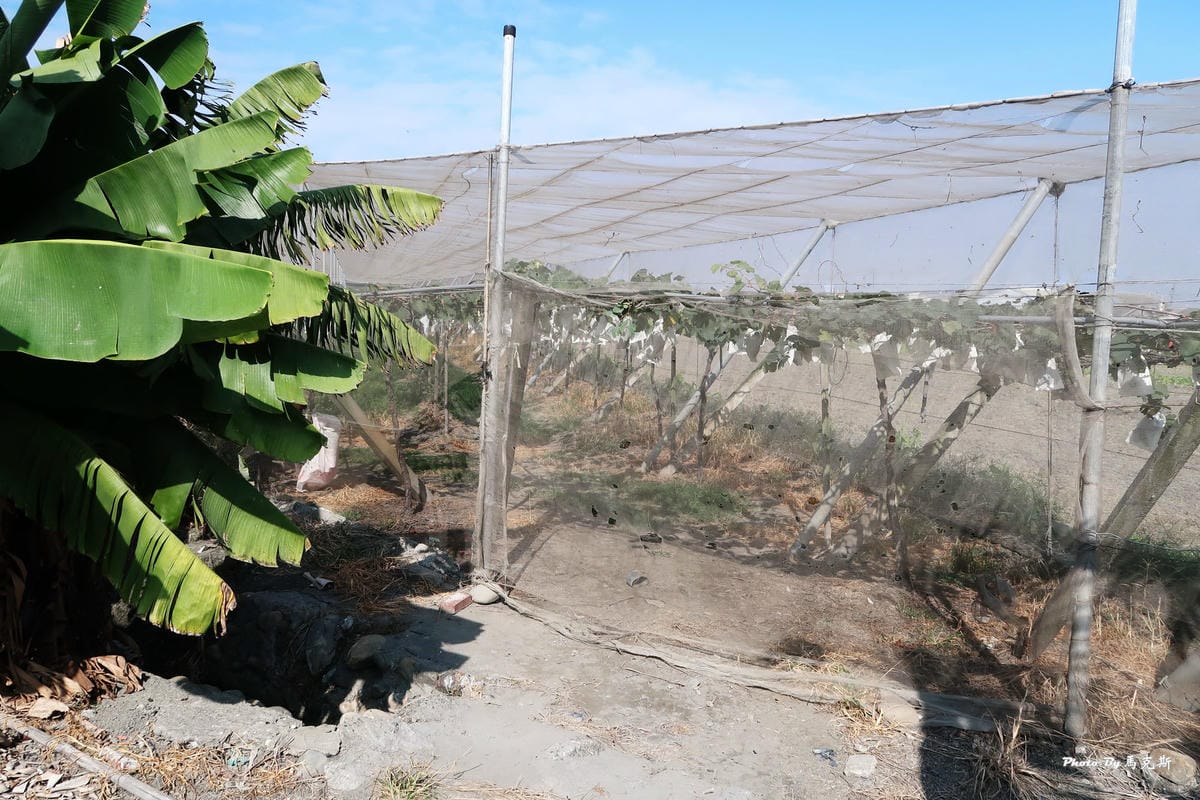 IMG_6210_調整大小 IMG_6210_調整大小