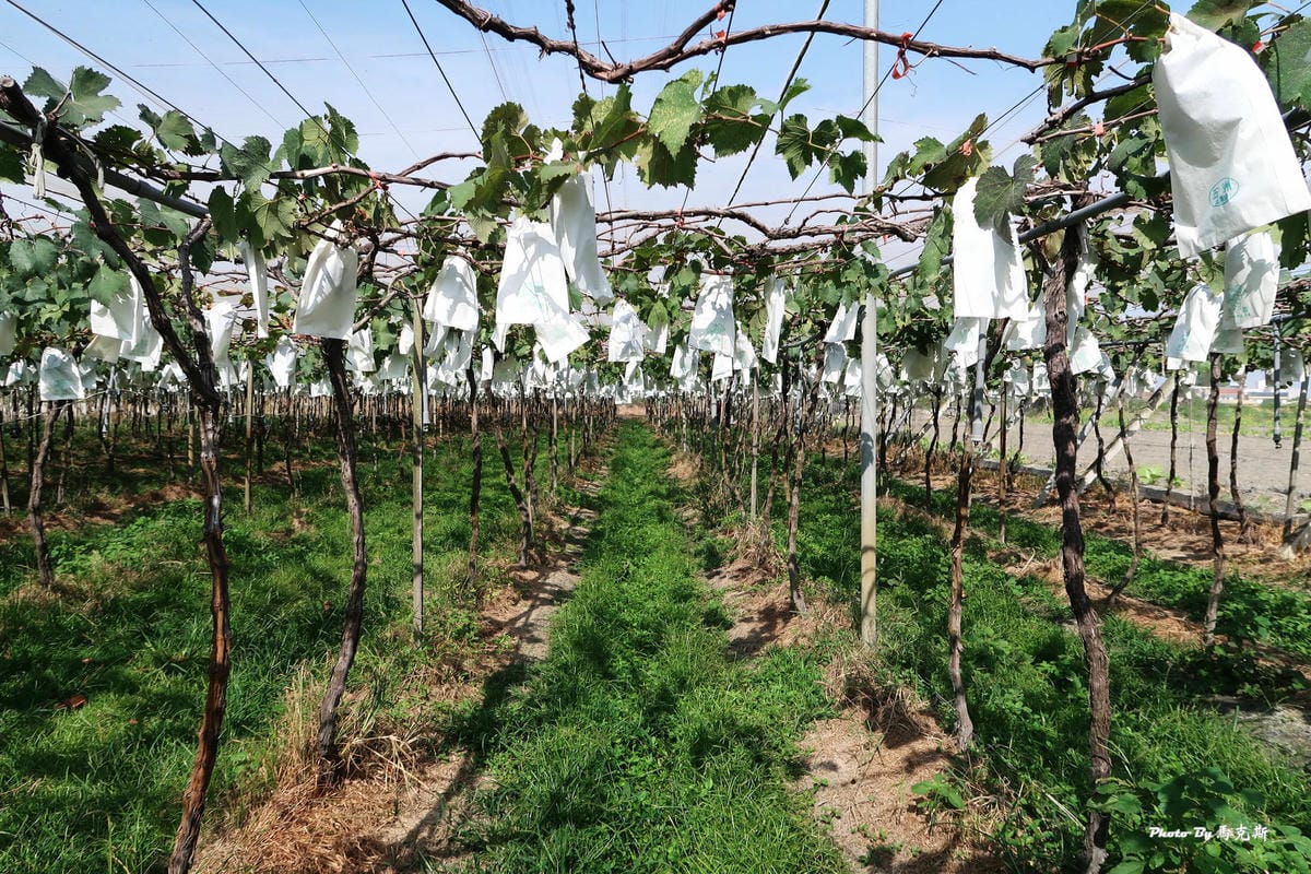 IMG_6220_調整大小 IMG_6220_調整大小