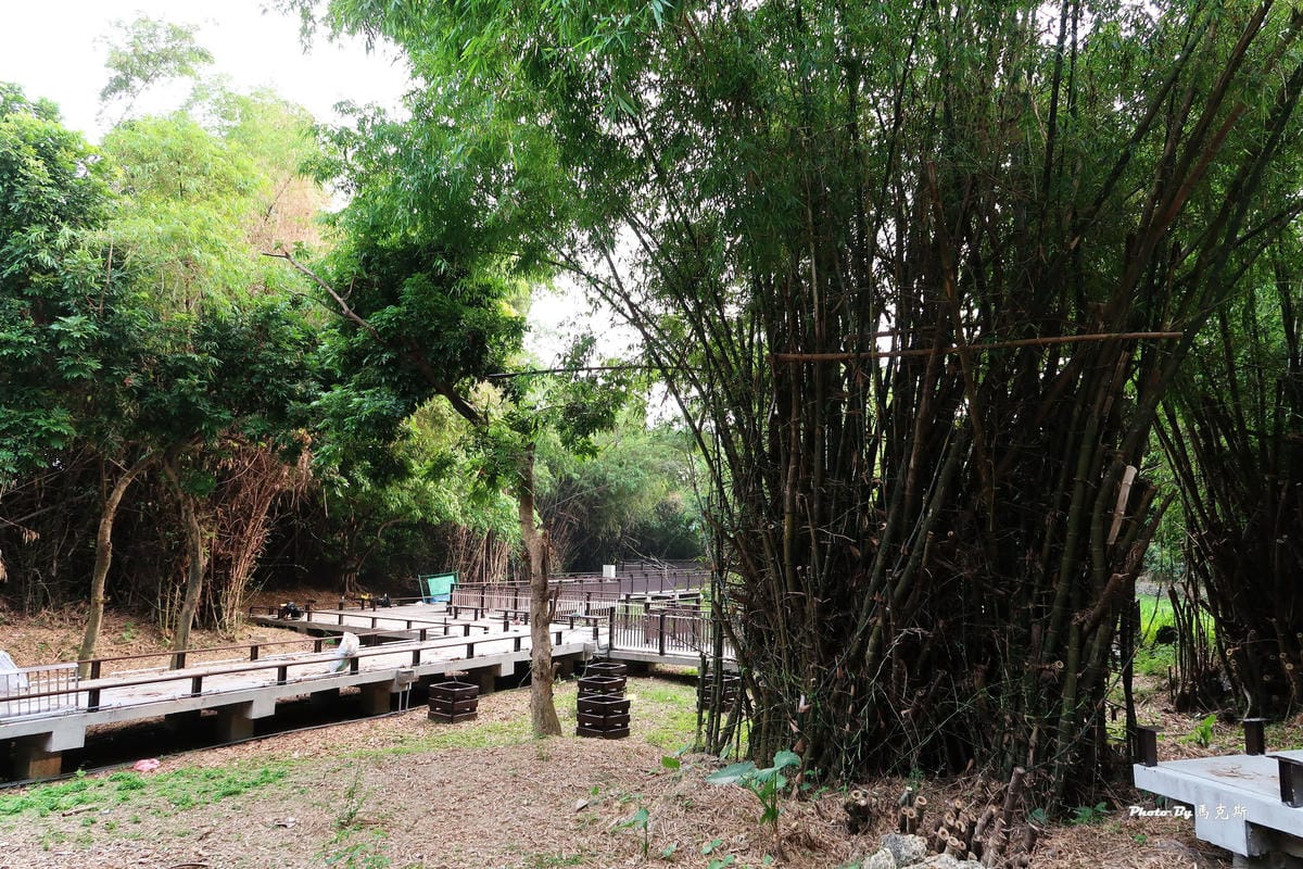 IMG_1515_調整大小 IMG_1515_調整大小