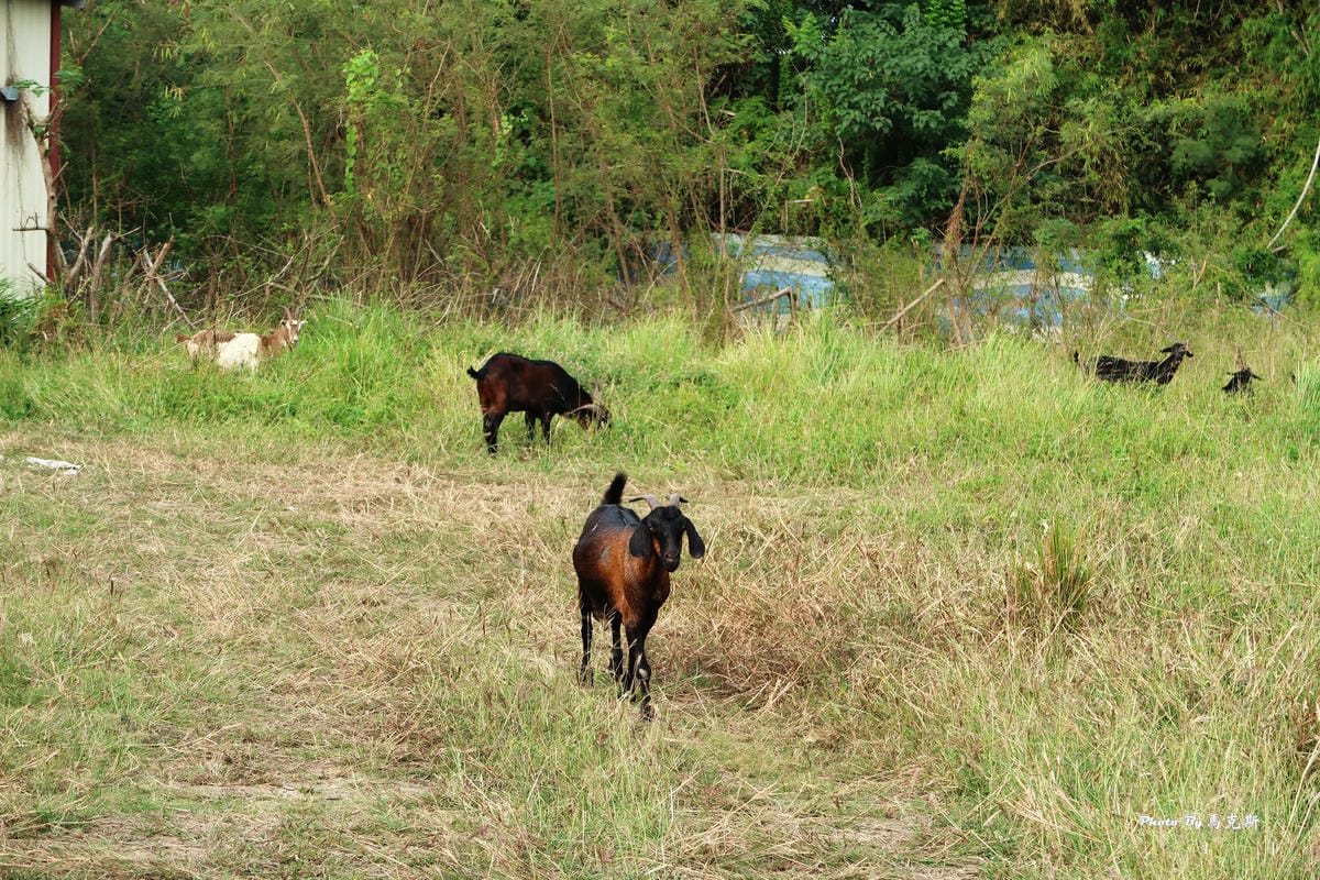 IMG_1540_調整大小 IMG_1540_調整大小