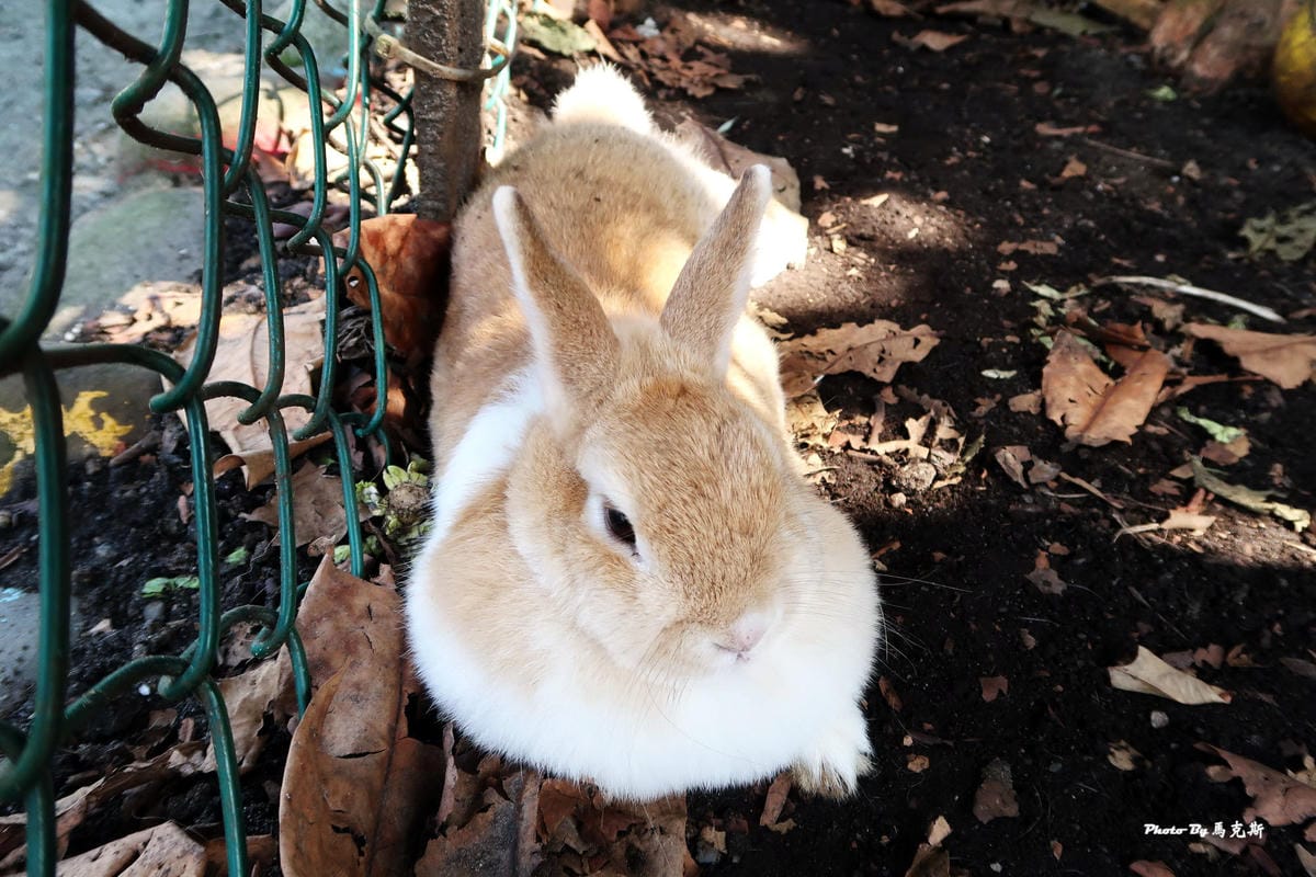 IMG_0063_調整大小 (2) IMG_0063_調整大小 (2)