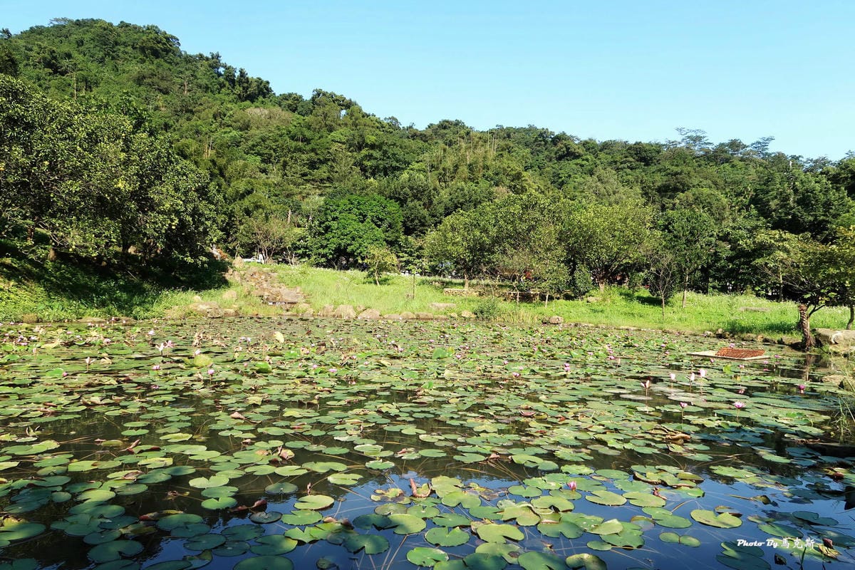 IMG_0158_調整大小 (2) IMG_0158_調整大小 (2)