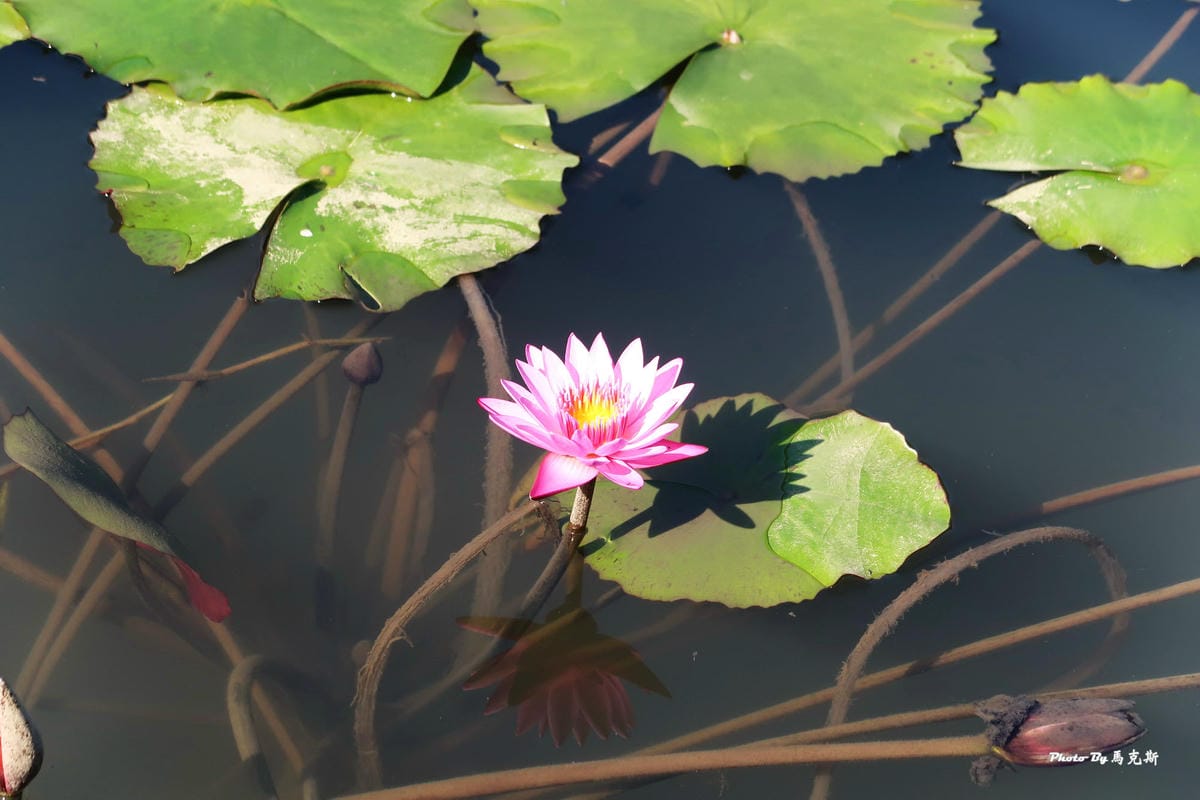 IMG_0163_調整大小 (3) IMG_0163_調整大小 (3)