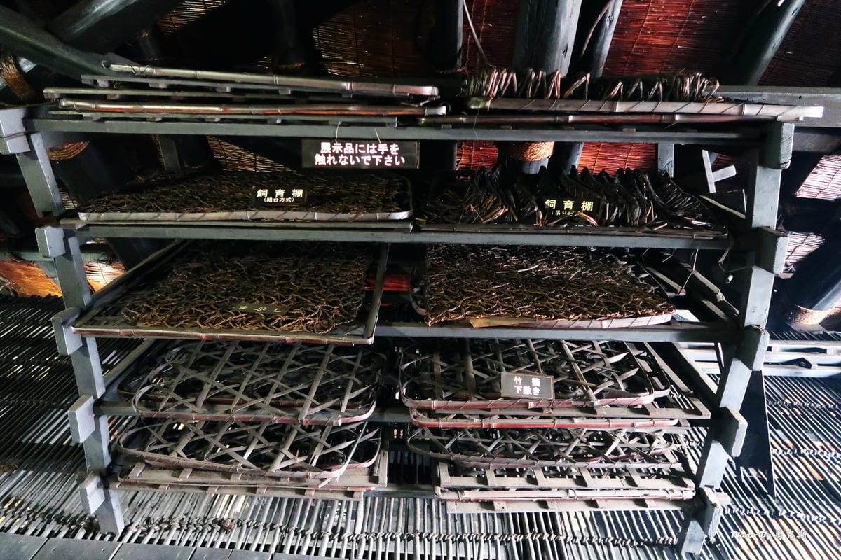 IMG_3370_調整大小 IMG_3370_調整大小