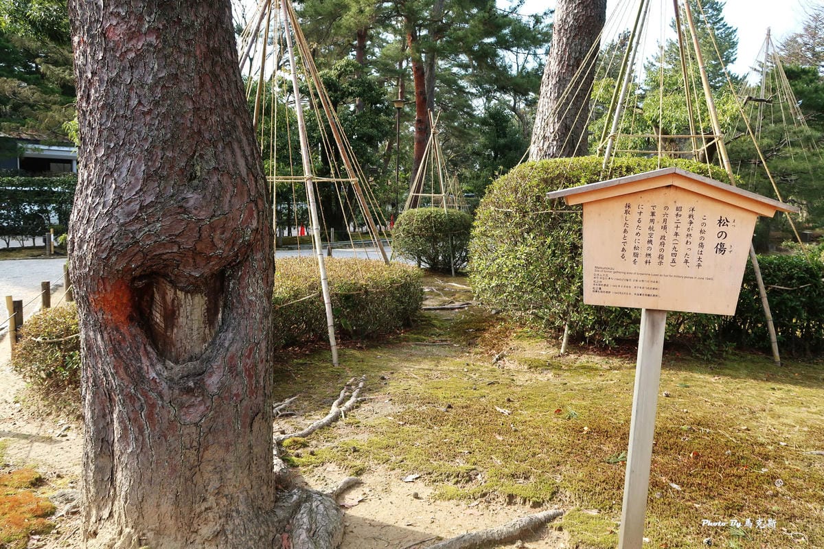 IMG_4050_調整大小 IMG_4050_調整大小