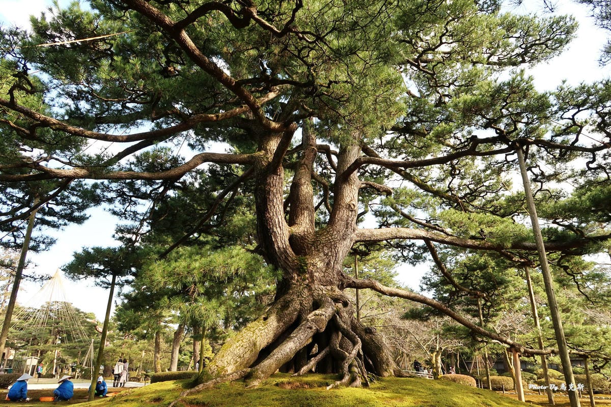 IMG_4037_調整大小 IMG_4037_調整大小