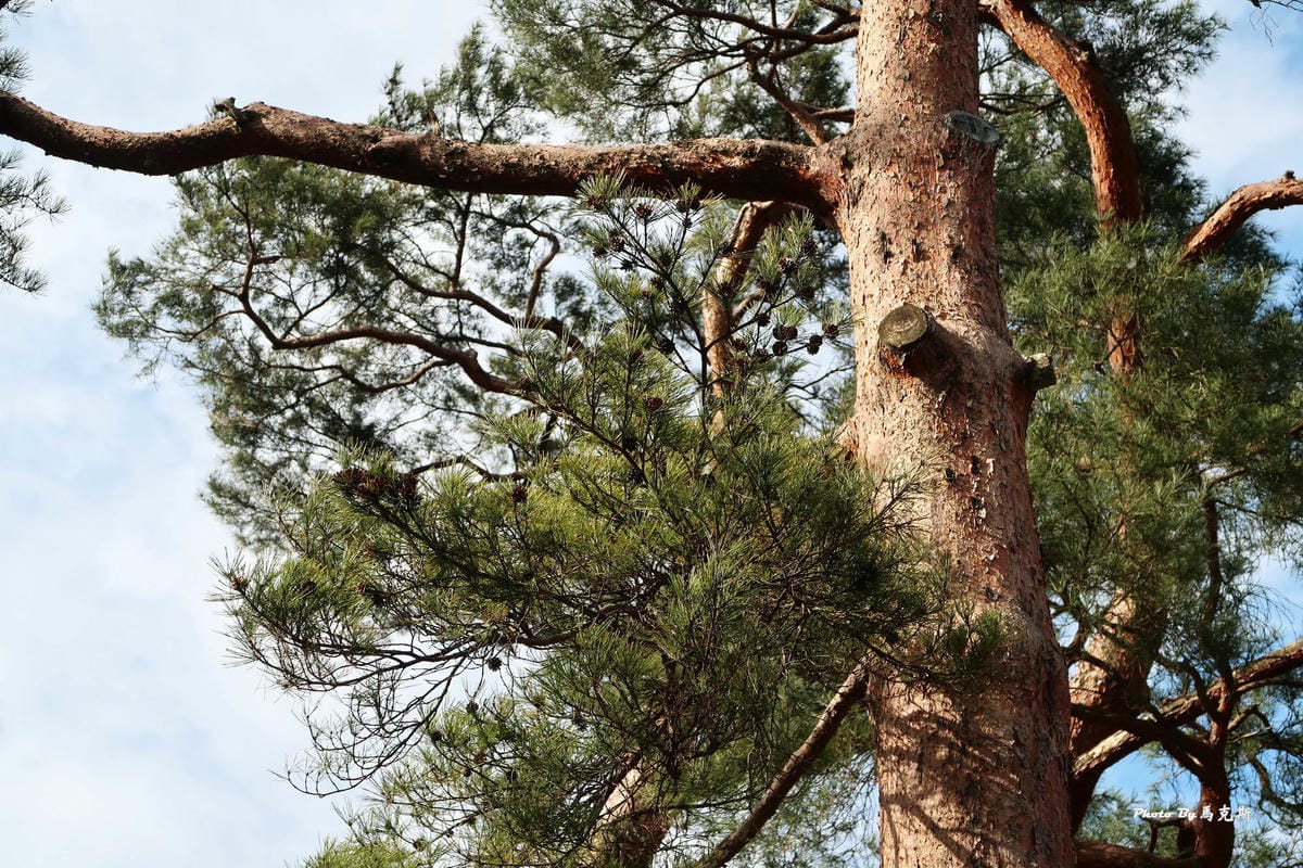 IMG_4053_調整大小 IMG_4053_調整大小